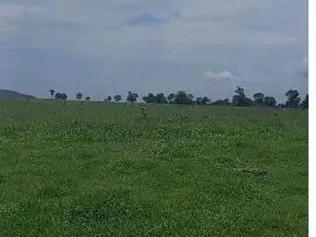 Fazenda venda em Região Geográfica Imediata de Goiás - Itapuranga, Jussara