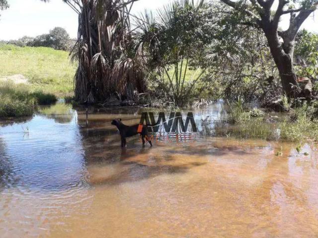 Fazenda venda em Região Geográfica Imediata de Goiás - Itapuranga, Jussara