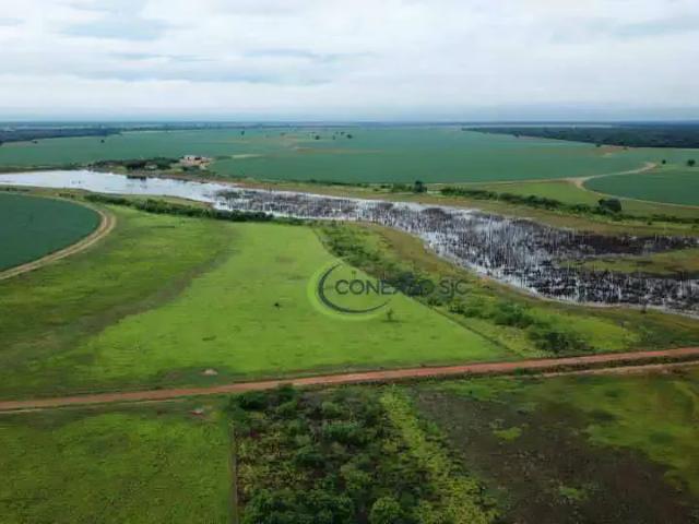 Fazenda venda em Região Geográfica Imediata de Goiás - Itapuranga, Jussara