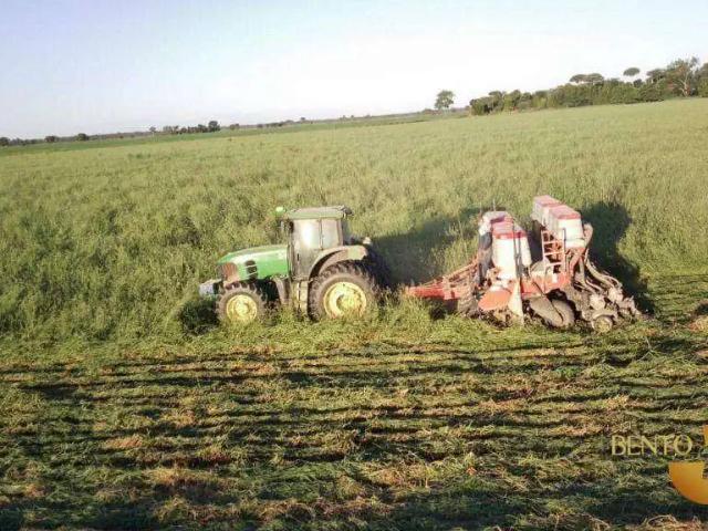 Fazenda venda em Região Geográfica Imediata de Goiás - Itapuranga, Jussara