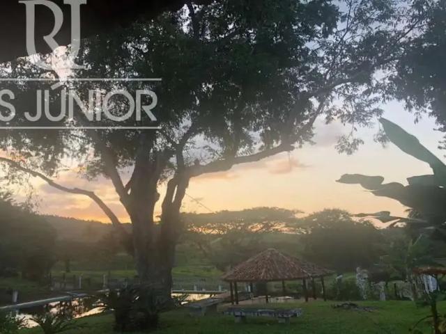 Fazenda venda em Região Geográfica Imediata de Camacan, Jussari