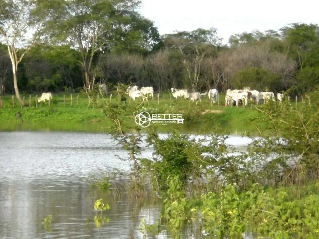 Fazenda venda em Região Geográfica Imediata de Januária, Juvenília