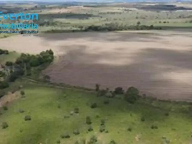 Fazenda venda em Região Geográfica Imediata de Patos de Minas, Lagamar