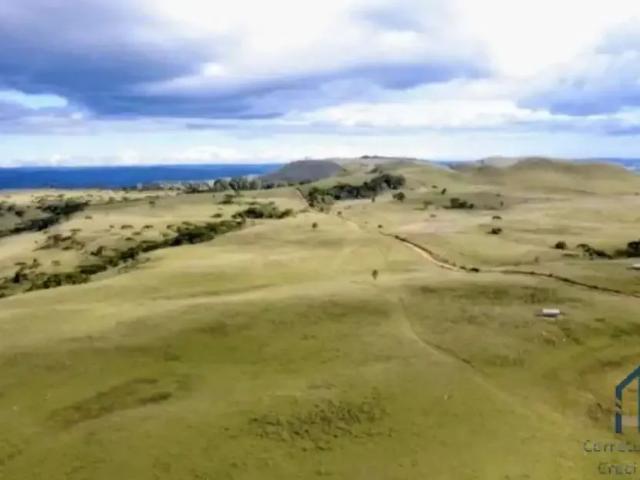 Fazenda venda em Região Geográfica Imediata de Lages, Lages