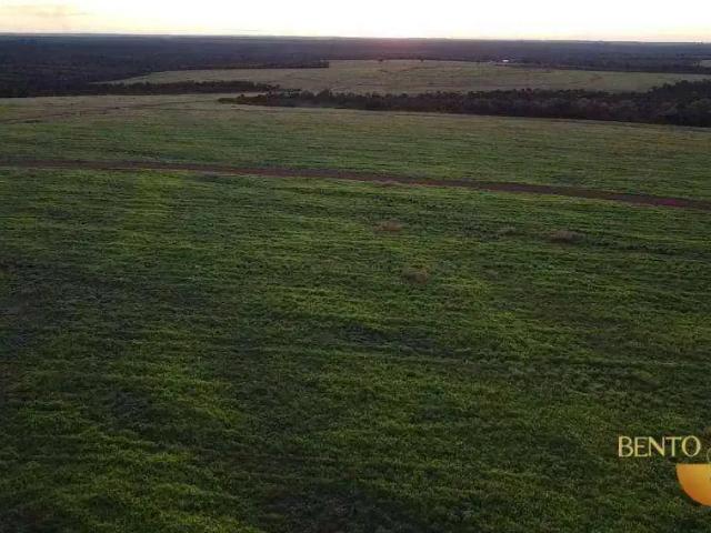 Fazenda venda em Região Geográfica Imediata de Paraíso do Tocantins, Lagoa da Confusão