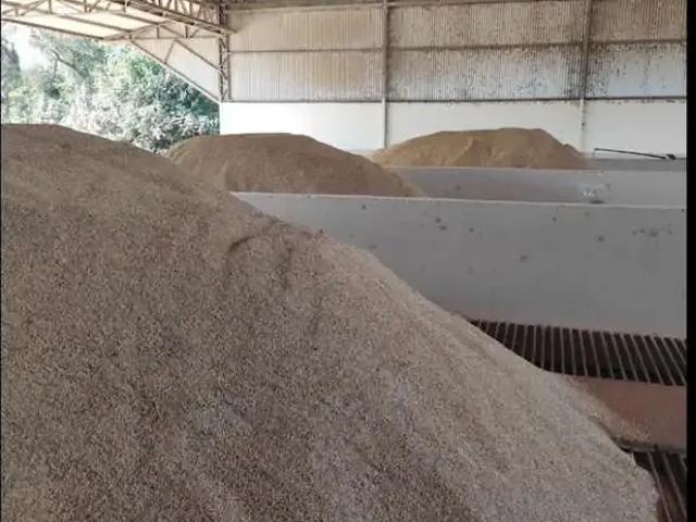 Fazenda venda em Região Geográfica Imediata de Paraíso do Tocantins, Lagoa da Confusão