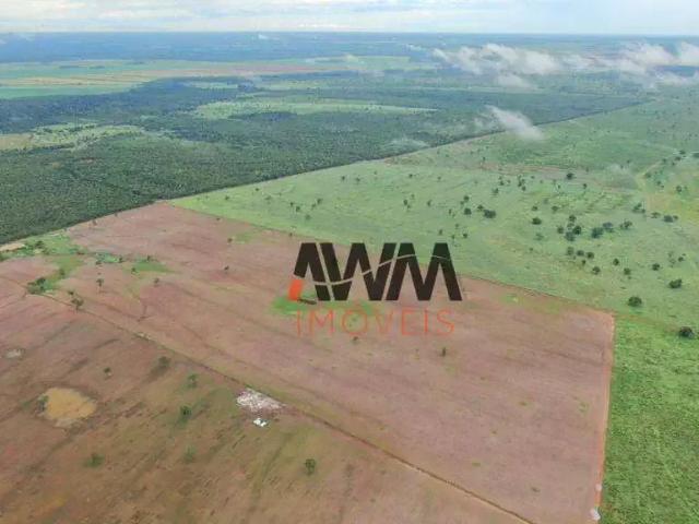 Fazenda venda em Região Geográfica Imediata de Paraíso do Tocantins, Lagoa da Confusão