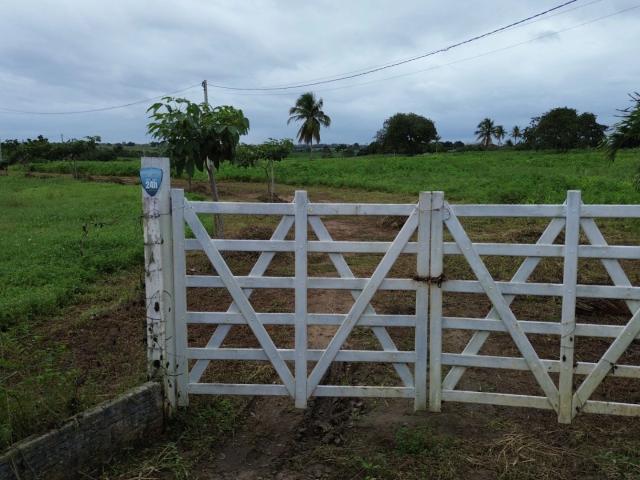 Fazenda venda em Lagoa de Itaenga