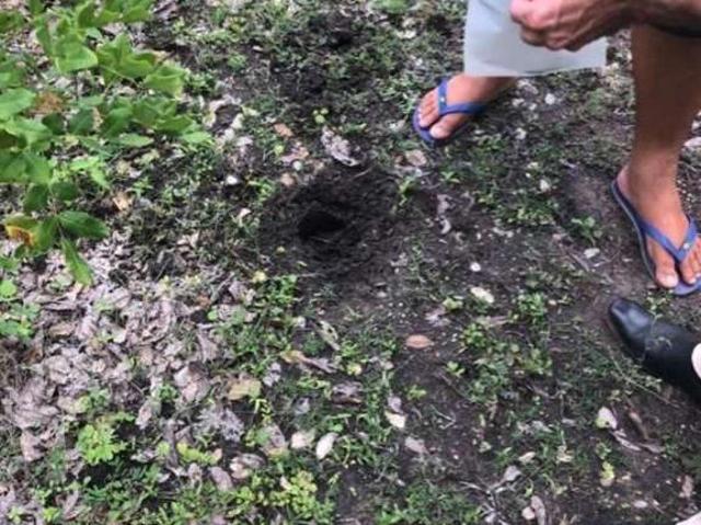 Fazenda venda em Lagoa do Mato, Região Nordeste