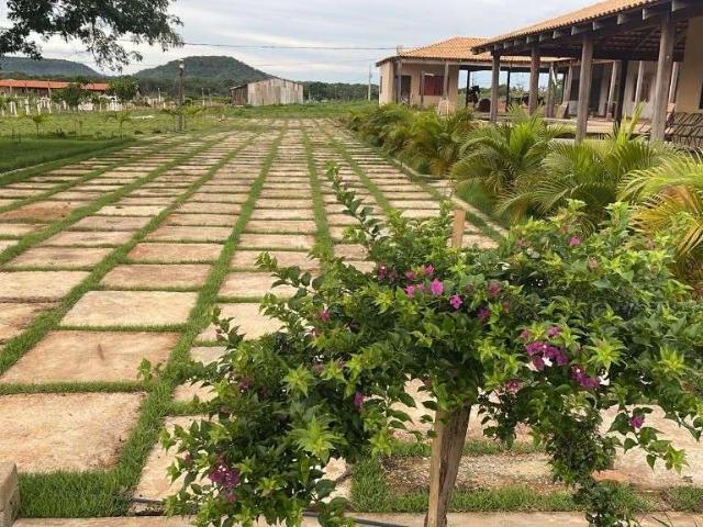 Fazenda venda em Lagoa do Mato, Região Nordeste