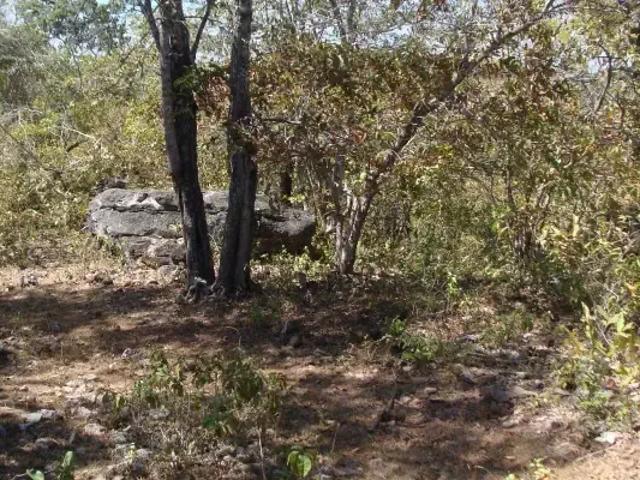 Fazenda venda em Lagoa do Mato, Região Nordeste