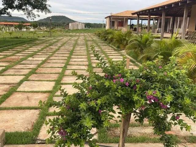 Fazenda venda em Lagoa do Mato, Região Nordeste