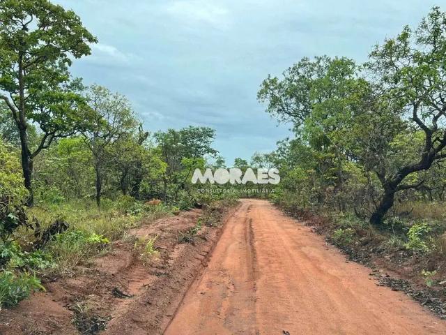 Fazenda venda em Região Geográfica Imediata de Palmas, Lagoa do Tocantins
