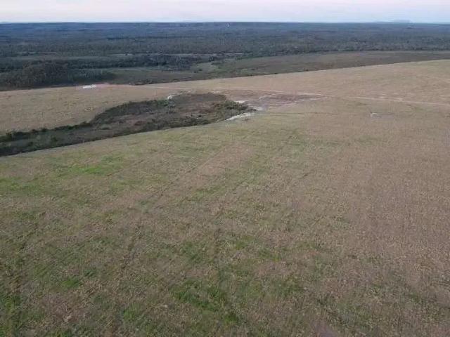 Fazenda venda em Região Geográfica Imediata de Palmas, Lagoa do Tocantins