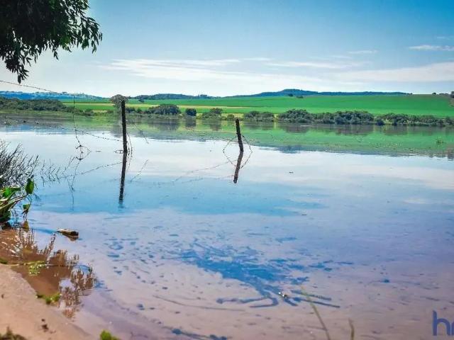 Fazenda venda em Região Geográfica Imediata de Palmas, Lagoa do Tocantins
