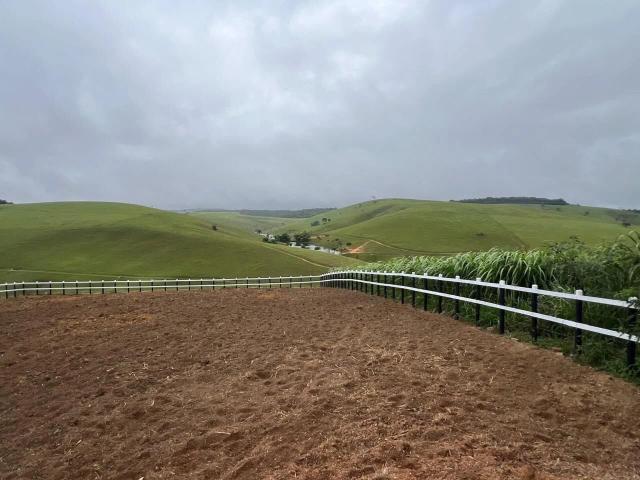 Fazenda venda em Lagoa dos Gatos, Região Geográfica Intermediária de Caruaru