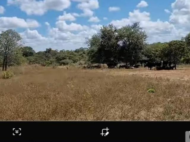 Sítio e chácara venda em Região Geográfica Imediata de Patos de Minas, Lagoa Grande