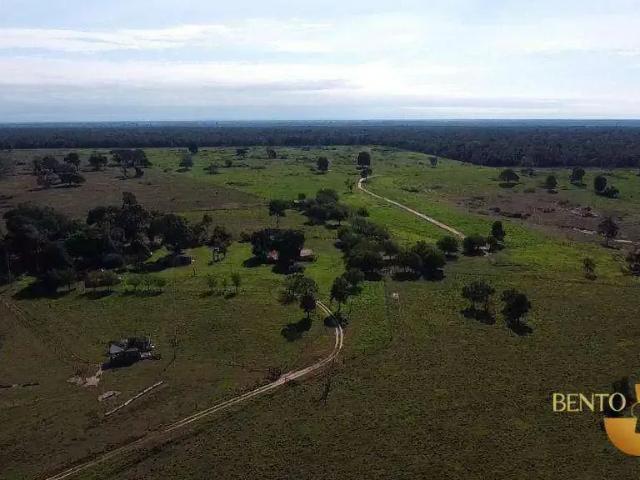 Fazenda venda em Região Geográfica Imediata de Cáceres, Lambari d'Oeste