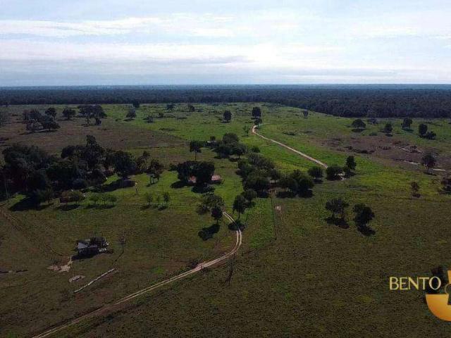 Fazenda venda em Lambari d'Oeste, Região Geográfica Intermediária de Cáceres