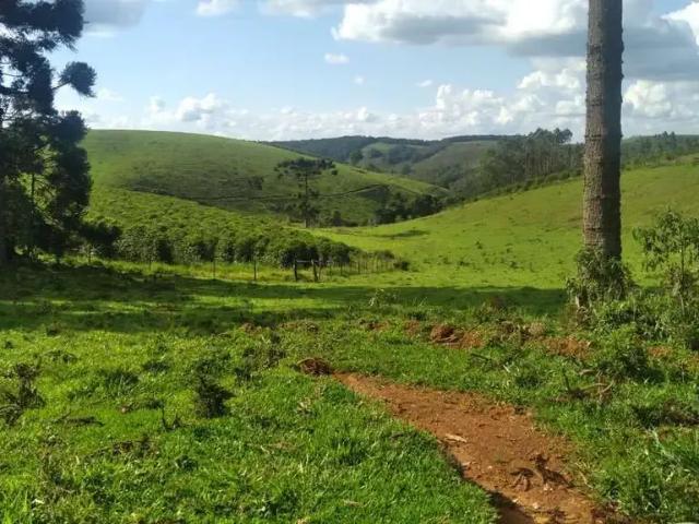 Fazenda venda em Região Geográfica Imediata de São Lourenço, Lambari