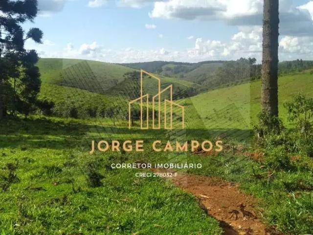 Fazenda venda em Região Geográfica Imediata de São Lourenço, Lambari