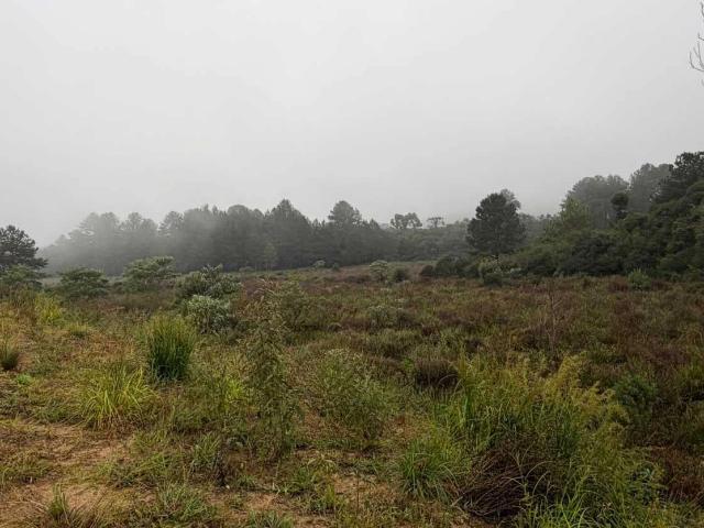 Fazenda venda em Lapa, Região Geográfica Intermediária de Curitiba