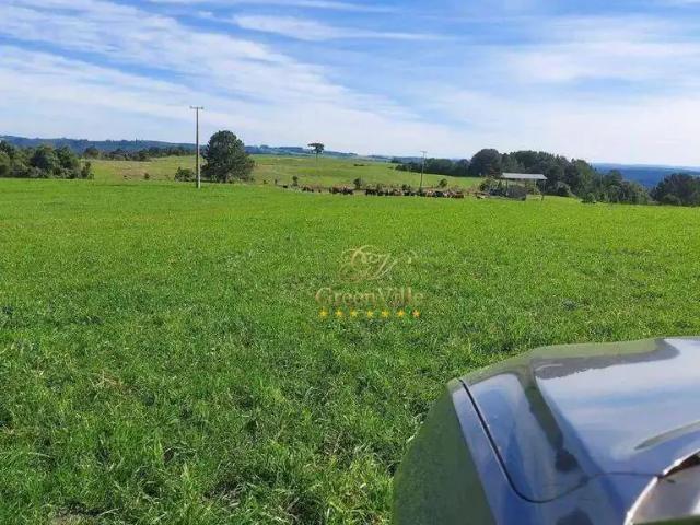 Fazenda venda em Região Geográfica Imediata de Curitiba, Região Metropolitana de Curitiba