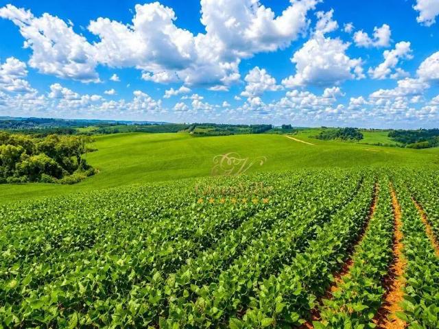 Fazenda venda em Região Geográfica Imediata de Curitiba, Região Metropolitana de Curitiba