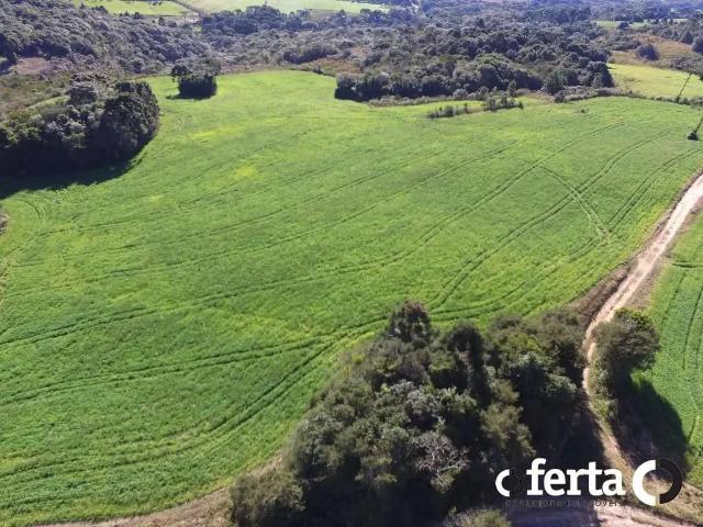 Fazenda venda em Região Geográfica Imediata de Curitiba, Região Metropolitana de Curitiba