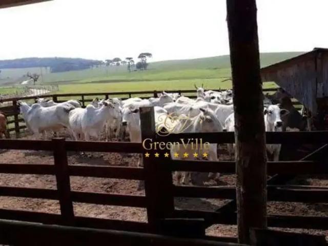 Fazenda venda em Região Geográfica Imediata de Curitiba, Região Metropolitana de Curitiba