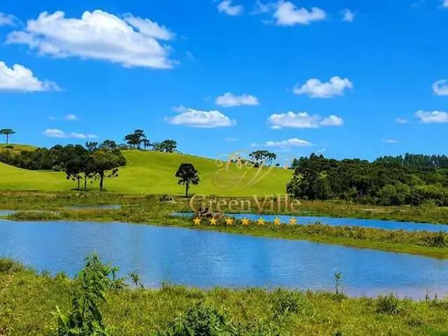 Fazenda venda em Região Geográfica Imediata de Curitiba, Região Metropolitana de Curitiba