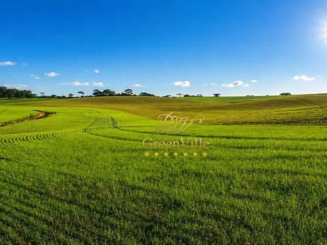 Fazenda venda em Região Geográfica Imediata de Curitiba, Região Metropolitana de Curitiba