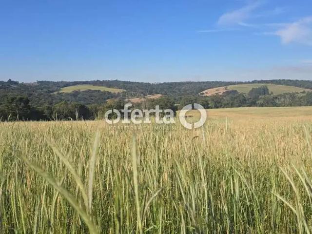 Fazenda venda em Região Geográfica Imediata de Curitiba, Região Metropolitana de Curitiba