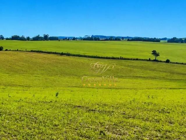 Fazenda venda em Região Geográfica Imediata de Maringá, Maringá