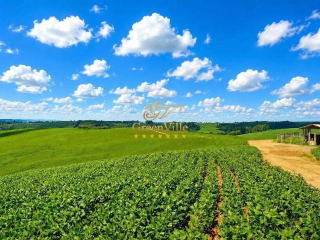 Fazenda venda em Lapa
