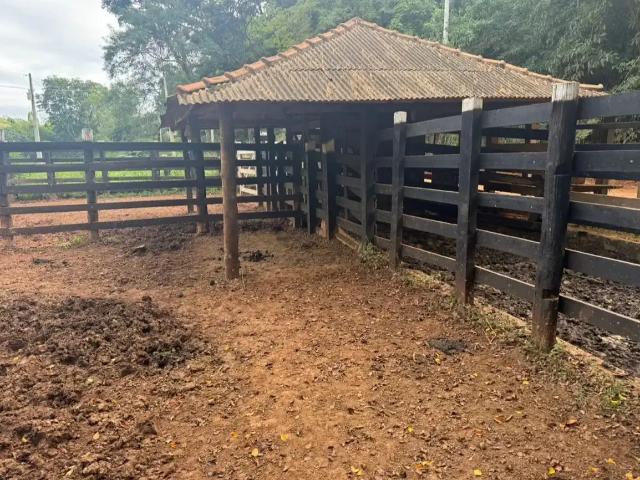 Fazenda venda em Região Geográfica Imediata de Afonso Cláudio - Venda Nova do Imigrante - Santa Maria de Jetibá, Laranja da Terra