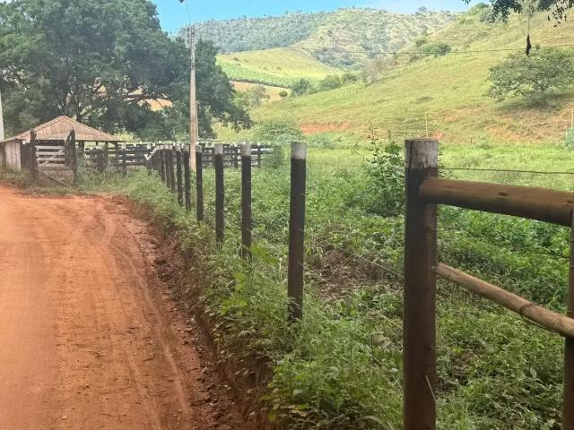 Fazenda venda em Região Geográfica Imediata de Afonso Cláudio - Venda Nova do Imigrante - Santa Maria de Jetibá, Laranja da Terra