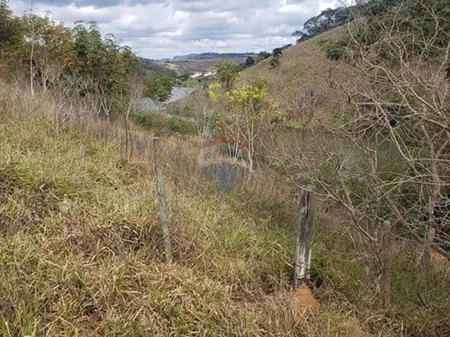 Fazenda venda em Região Geográfica Imediata de Cataguases, Laranjal