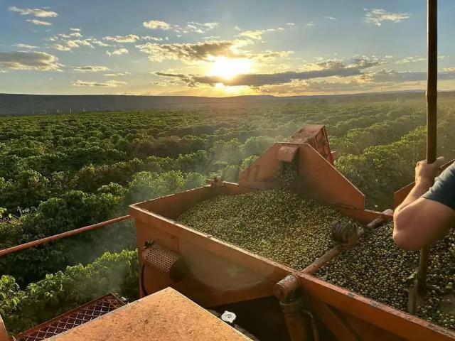 Fazenda venda em Região Geográfica Imediata de Pirapora, Lassance