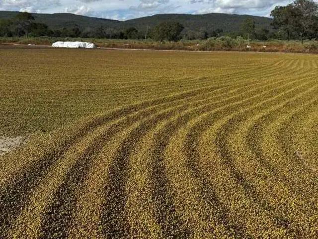 Fazenda venda em Região Geográfica Imediata de Pirapora, Lassance