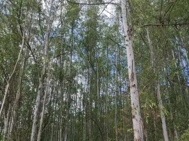 Fazenda venda em Região Imediata de Cruzeiro, Região Metropolitana do Vale do Paraíba e Litoral Norte