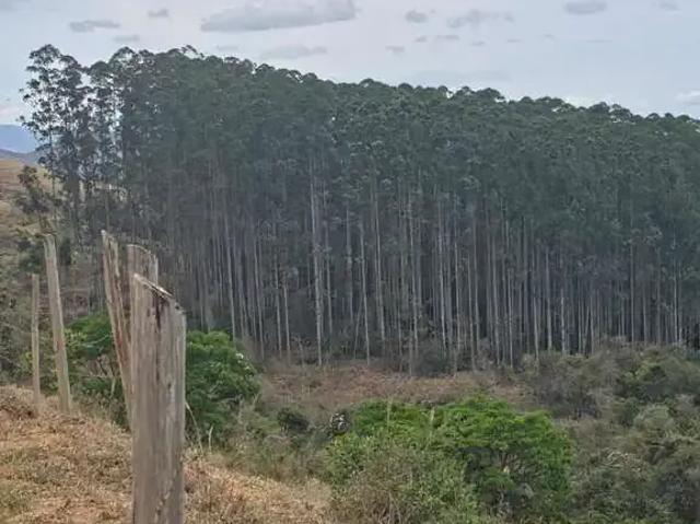 Fazenda venda em Região Imediata de Cruzeiro, Região Metropolitana do Vale do Paraíba e Litoral Norte