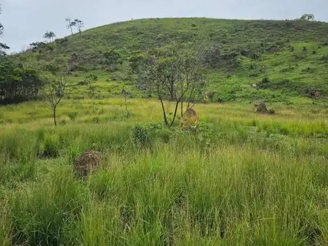 Fazenda venda em Região Imediata de Cruzeiro, Região Metropolitana do Vale do Paraíba e Litoral Norte
