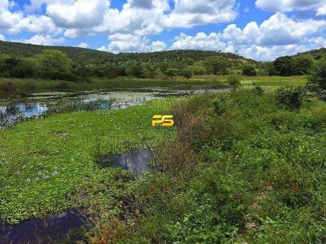 Fazenda venda em Lençóis, Região Geográfica Intermediária de Feira de Santana