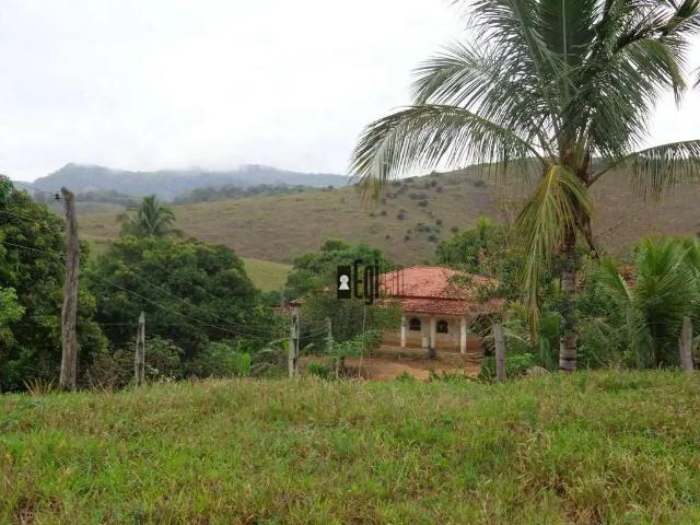 Fazenda venda em Região Geográfica Imediata de Cataguases, Leopoldina