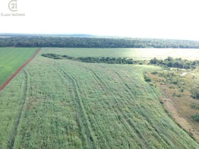 Fazenda venda em Região Geográfica Imediata de Cornélio Procópio-Bandeirantes, Leópolis