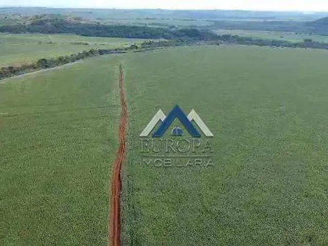Fazenda venda em Região Geográfica Imediata de Cornélio Procópio-Bandeirantes, Leópolis
