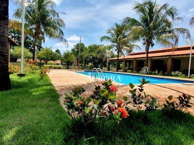 Fazenda venda em Região Geográfica Imediata de Cornélio Procópio-Bandeirantes, Leópolis