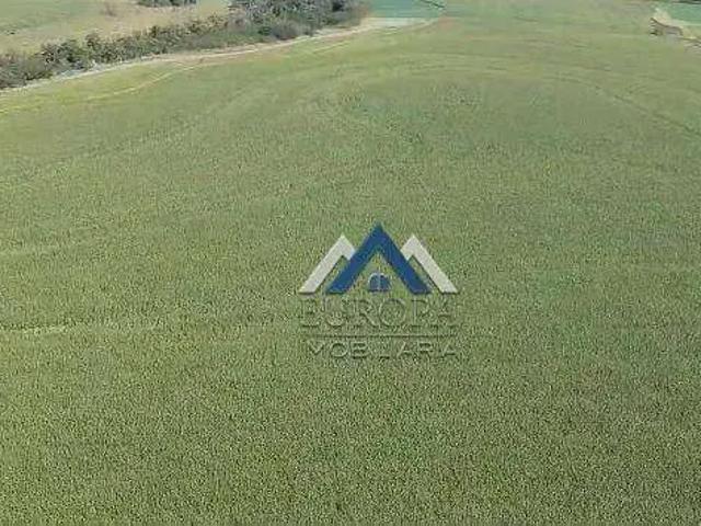 Fazenda venda em Região Geográfica Imediata de Cornélio Procópio-Bandeirantes, Leópolis