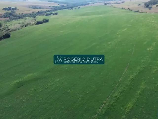 Fazenda venda em Região Geográfica Imediata de Cornélio Procópio-Bandeirantes, Leópolis